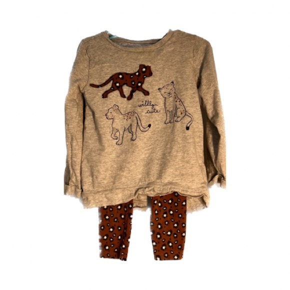 Carter's Other - Carter’s girl size 4T matching outfit pant and long sleeve shirt